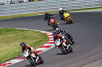 brands-hatch-photographs;brands-no-limits-trackday;cadwell-trackday-photographs;enduro-digital-images;event-digital-images;eventdigitalimages;no-limits-trackdays;peter-wileman-photography;racing-digital-images;trackday-digital-images;trackday-photos